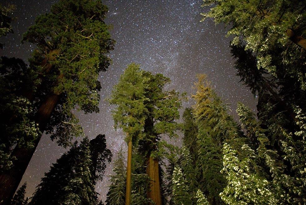 John Muir Lodge Hume Luaran gambar