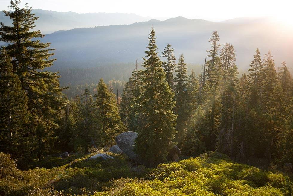 John Muir Lodge Hume Luaran gambar