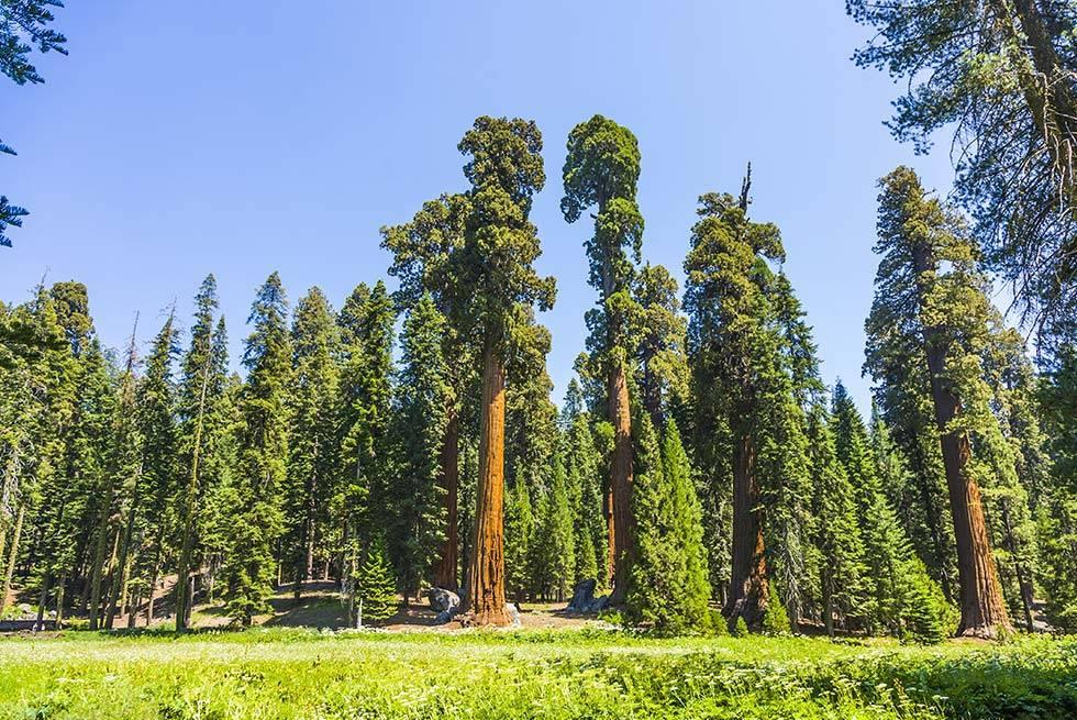 John Muir Lodge Hume Luaran gambar